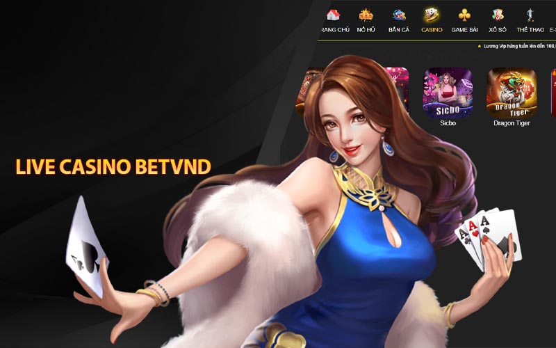 Live Casino Betvnd: Sòng Bạc Trực Tuyến Hàng Đầu Việt Nam